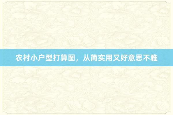 农村小户型打算图，从简实用又好意思不雅