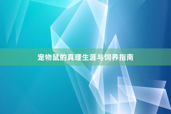 宠物鼠的真理生涯与饲养指南
