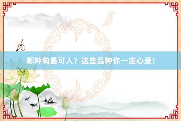 哪种狗最可人？这些品种你一定心爱！