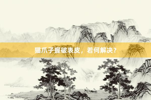 猫爪子握破表皮，若何解决？