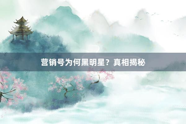 营销号为何黑明星？真相揭秘